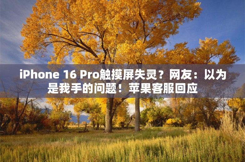 iPhone 16 Pro触摸屏失灵？网友：以为是我手的问题！苹果客服回应