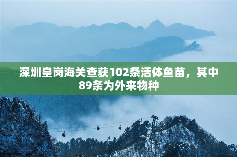 深圳皇岗海关查获102条活体鱼苗，其中89条为外来物种