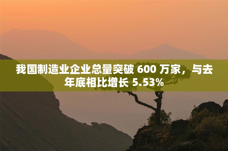 我国制造业企业总量突破 600 万家，与去年底相比增长 5.53%