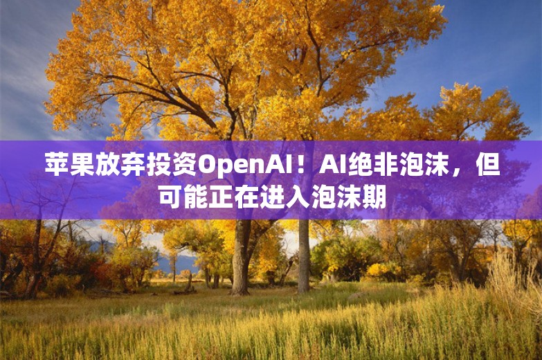 苹果放弃投资OpenAI！AI绝非泡沫，但可能正在进入泡沫期