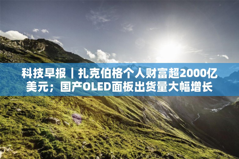 科技早报｜扎克伯格个人财富超2000亿美元；国产OLED面板出货量大幅增长