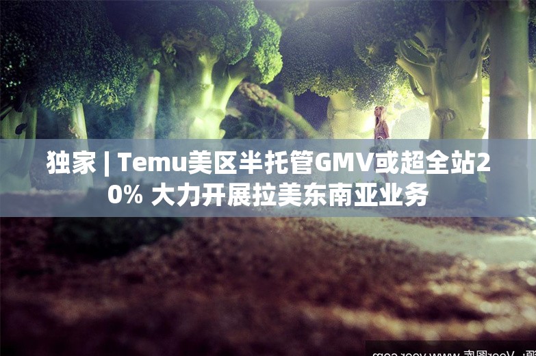 独家 | Temu美区半托管GMV或超全站20% 大力开展拉美东南亚业务