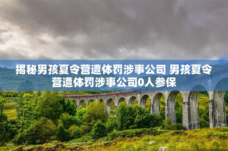 揭秘男孩夏令营遭体罚涉事公司 男孩夏令营遭体罚涉事公司0人参保