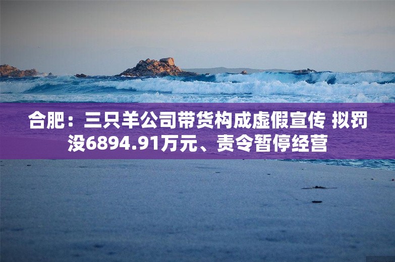 合肥：三只羊公司带货构成虚假宣传 拟罚没6894.91万元、责令暂停经营