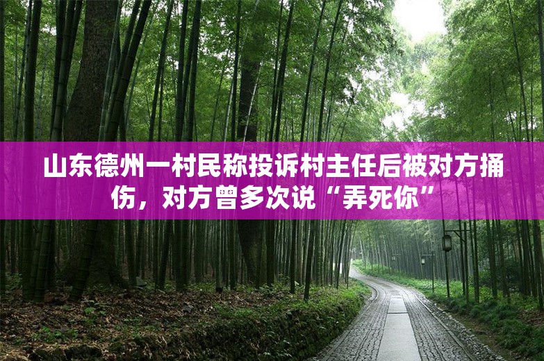 山东德州一村民称投诉村主任后被对方捅伤，对方曾多次说“弄死你”