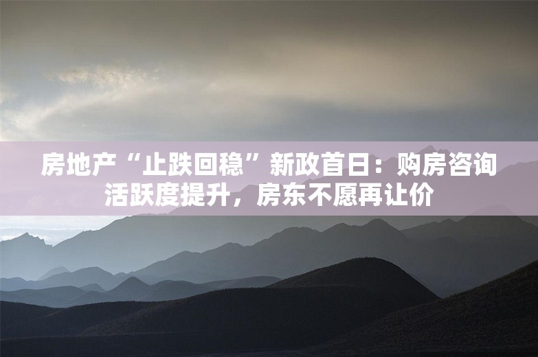 房地产“止跌回稳”新政首日：购房咨询活跃度提升，房东不愿再让价