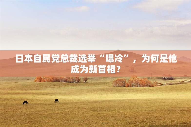 日本自民党总裁选举“曝冷”，为何是他成为新首相？