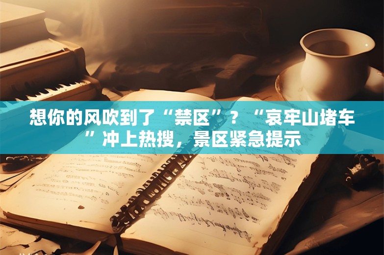 想你的风吹到了“禁区”？“哀牢山堵车”冲上热搜，景区紧急提示