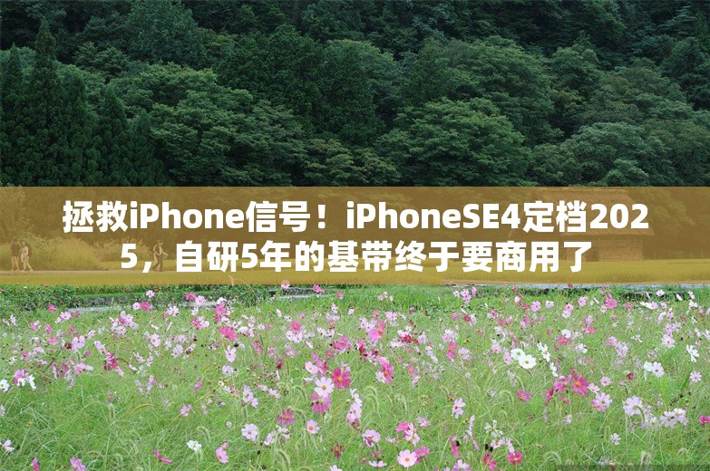 拯救iPhone信号！iPhoneSE4定档2025，自研5年的基带终于要商用了