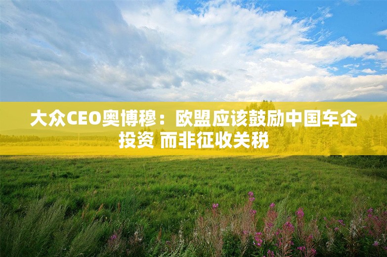 大众CEO奥博穆：欧盟应该鼓励中国车企投资 而非征收关税