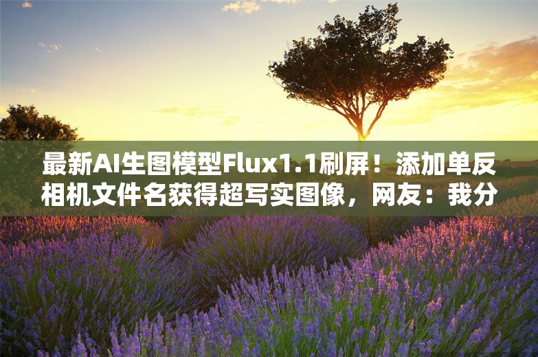 最新AI生图模型Flux1.1刷屏！添加单反相机文件名获得超写实图像，网友：我分不清啊