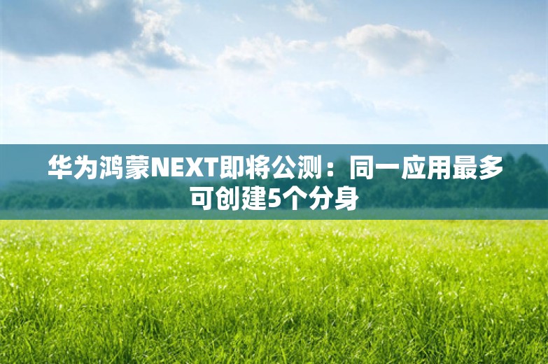 华为鸿蒙NEXT即将公测：同一应用最多可创建5个分身