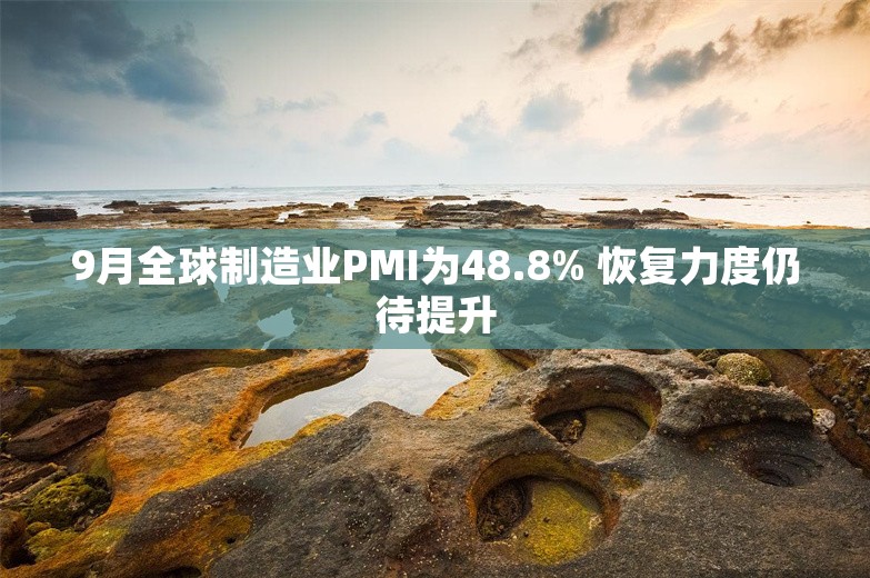 9月全球制造业PMI为48.8% 恢复力度仍待提升