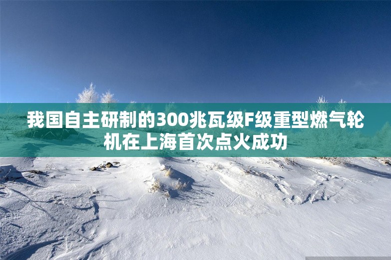 我国自主研制的300兆瓦级F级重型燃气轮机在上海首次点火成功