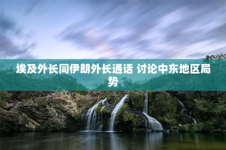 埃及外长同伊朗外长通话 讨论中东地区局势