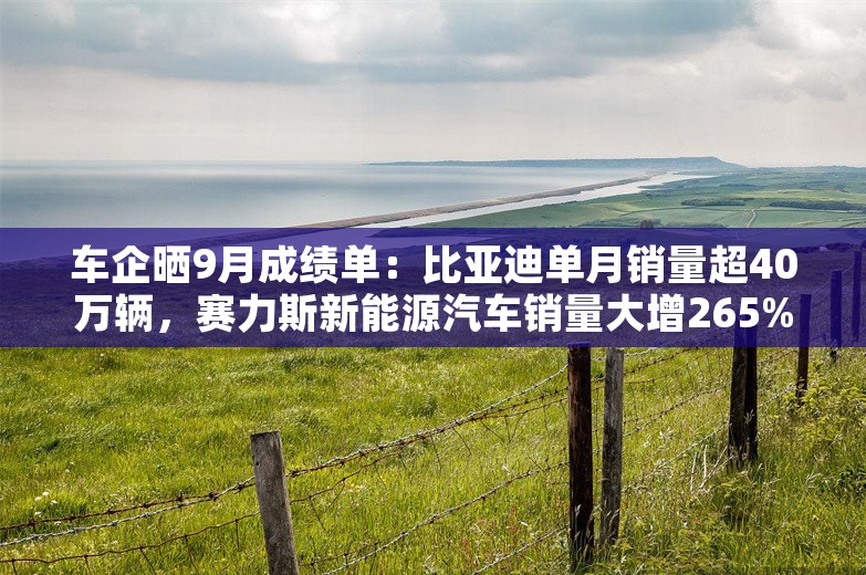 车企晒9月成绩单：比亚迪单月销量超40万辆，赛力斯新能源汽车销量大增265%