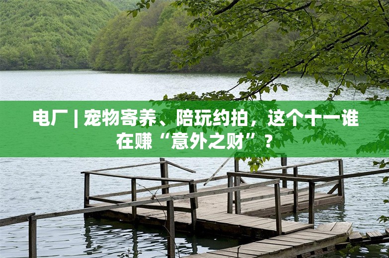 电厂 | 宠物寄养、陪玩约拍，这个十一谁在赚“意外之财”？