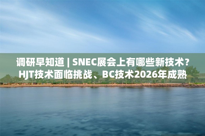 调研早知道 | SNEC展会上有哪些新技术？HJT技术面临挑战、BC技术2026年成熟