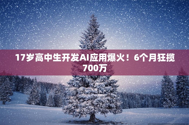 17岁高中生开发AI应用爆火！6个月狂揽700万