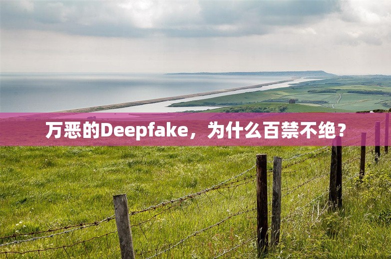 万恶的Deepfake，为什么百禁不绝？