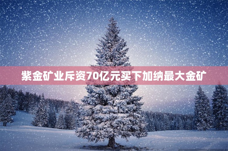 紫金矿业斥资70亿元买下加纳最大金矿