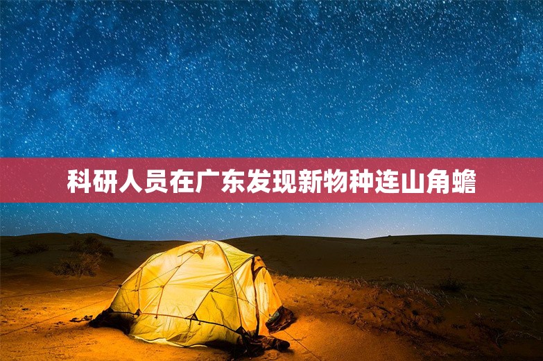 科研人员在广东发现新物种连山角蟾