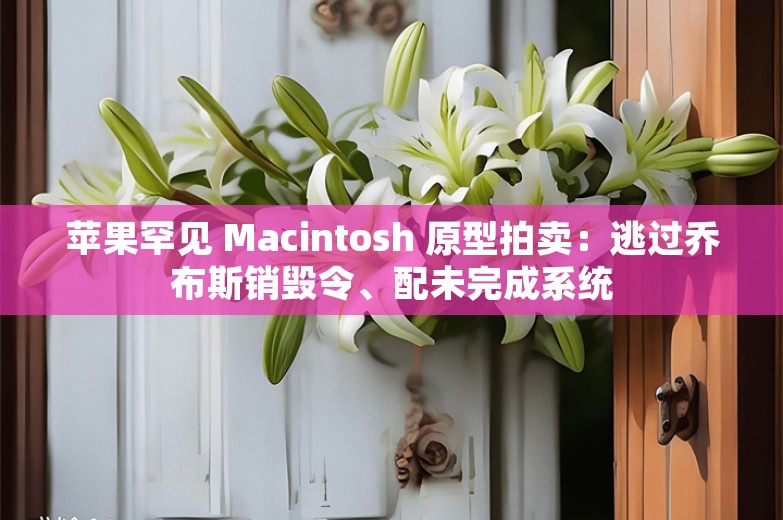 苹果罕见 Macintosh 原型拍卖：逃过乔布斯销毁令、配未完成系统