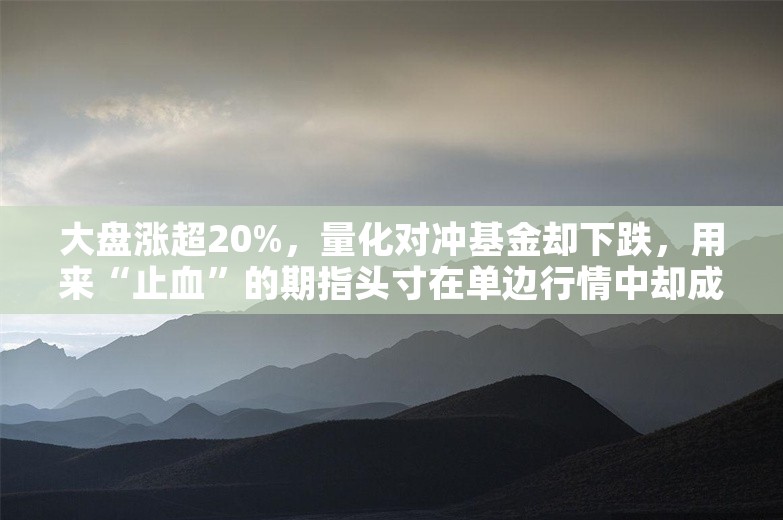 大盘涨超20%，量化对冲基金却下跌，用来“止血”的期指头寸在单边行情中却成“背刺”