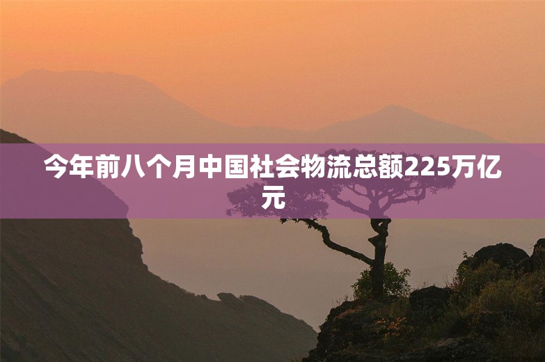 今年前八个月中国社会物流总额225万亿元