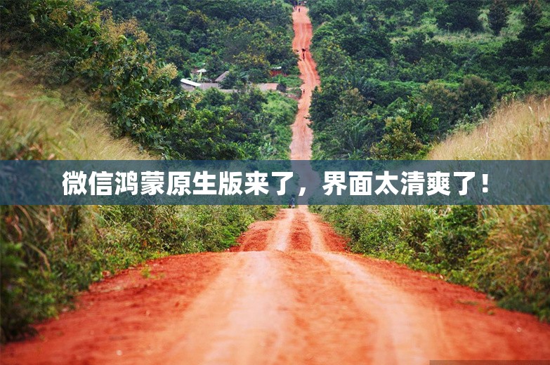 微信鸿蒙原生版来了，界面太清爽了！