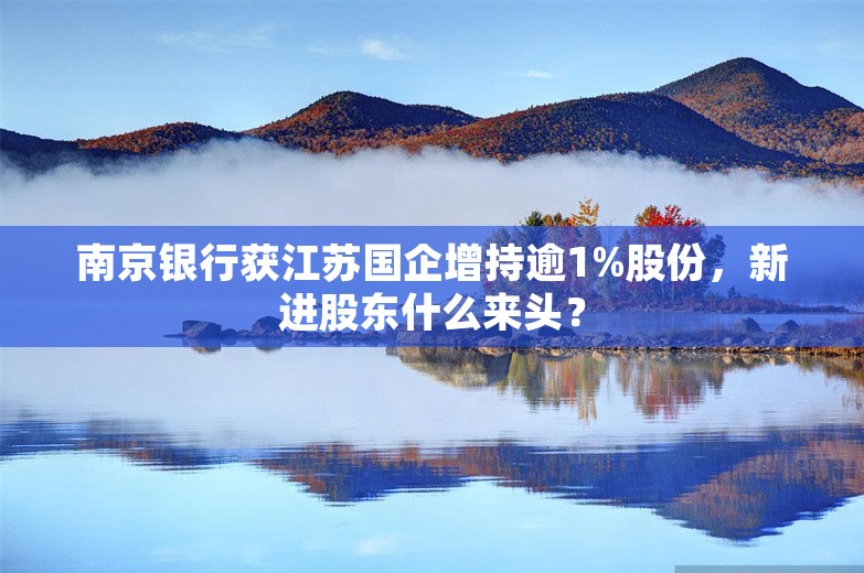 南京银行获江苏国企增持逾1%股份，新进股东什么来头？