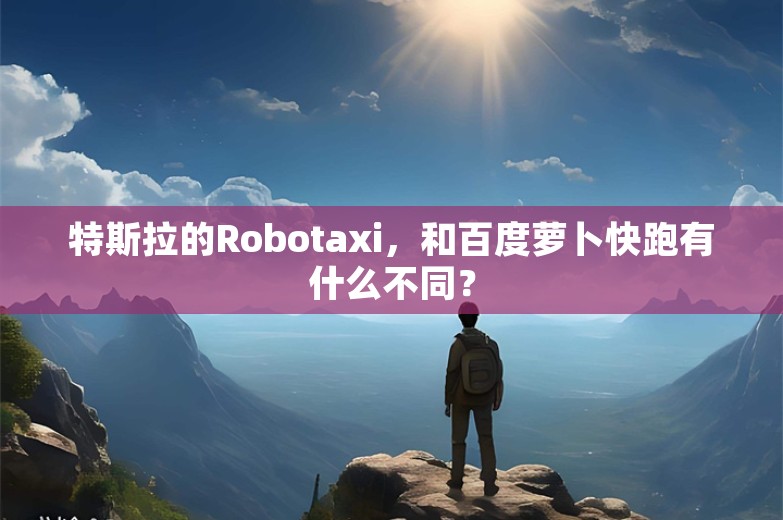 特斯拉的Robotaxi，和百度萝卜快跑有什么不同？