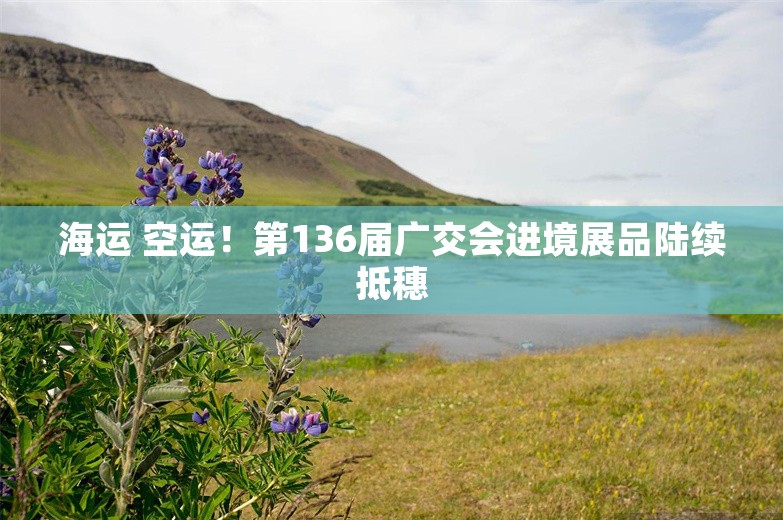 海运 空运！第136届广交会进境展品陆续抵穗