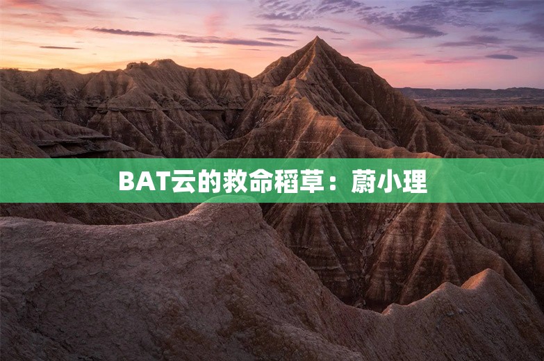 BAT云的救命稻草：蔚小理