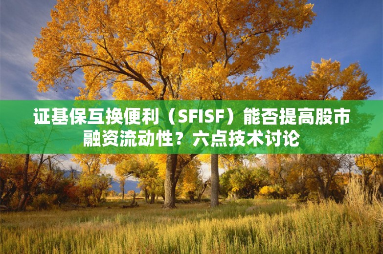 证基保互换便利（SFISF）能否提高股市融资流动性？六点技术讨论