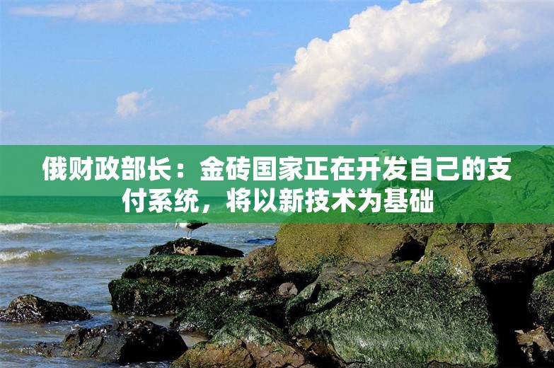 俄财政部长：金砖国家正在开发自己的支付系统，将以新技术为基础