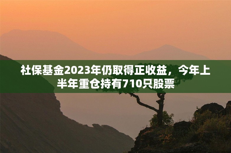 社保基金2023年仍取得正收益，今年上半年重仓持有710只股票