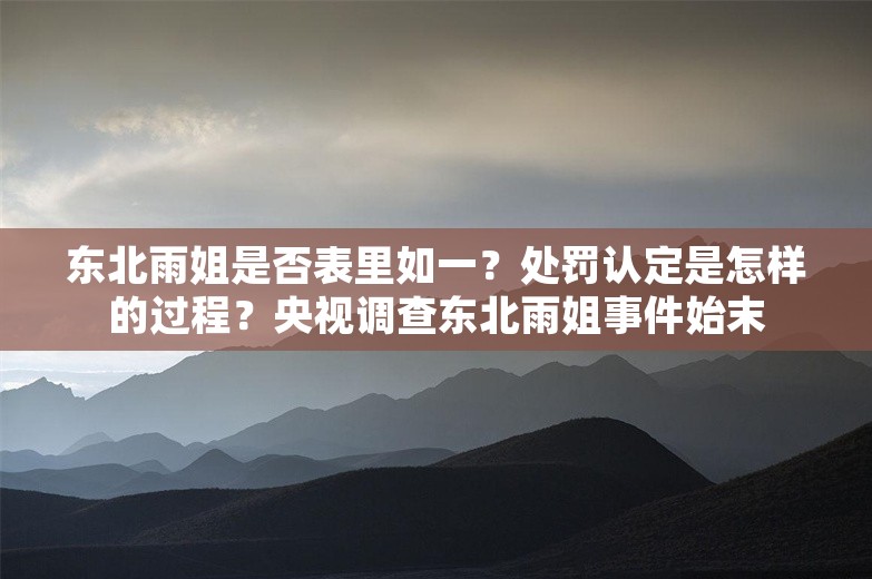 东北雨姐是否表里如一？处罚认定是怎样的过程？央视调查东北雨姐事件始末