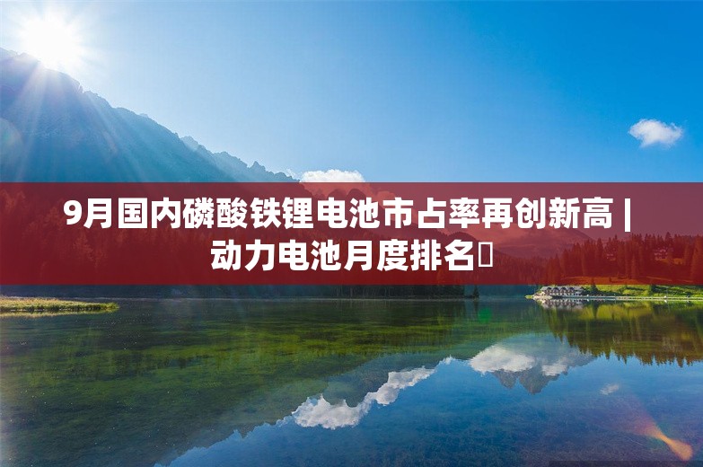 9月国内磷酸铁锂电池市占率再创新高 | 动力电池月度排名⑳
