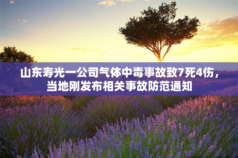 山东寿光一公司气体中毒事故致7死4伤，当地刚发布相关事故防范通知