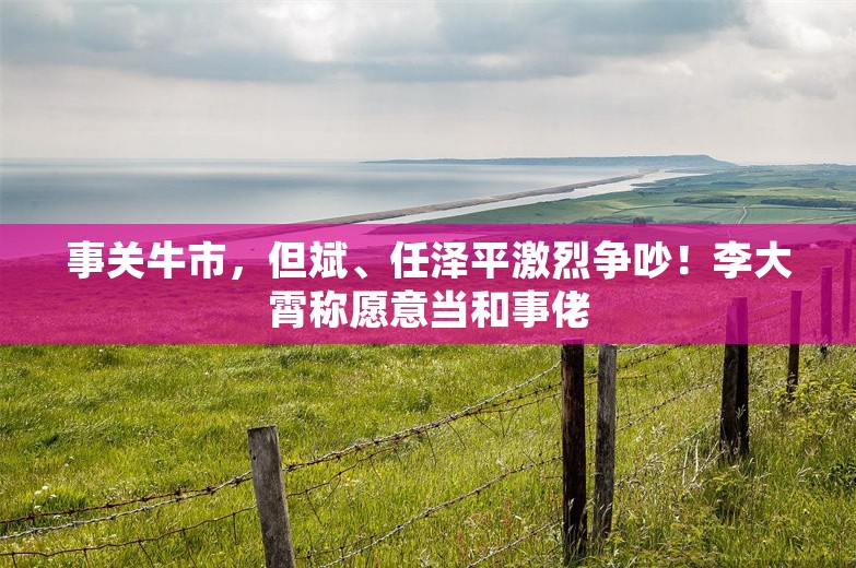 事关牛市，但斌、任泽平激烈争吵！李大霄称愿意当和事佬