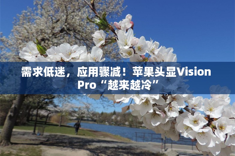 需求低迷，应用骤减！苹果头显Vision Pro“越来越冷”