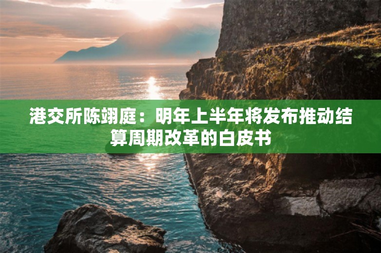 港交所陈翊庭：明年上半年将发布推动结算周期改革的白皮书