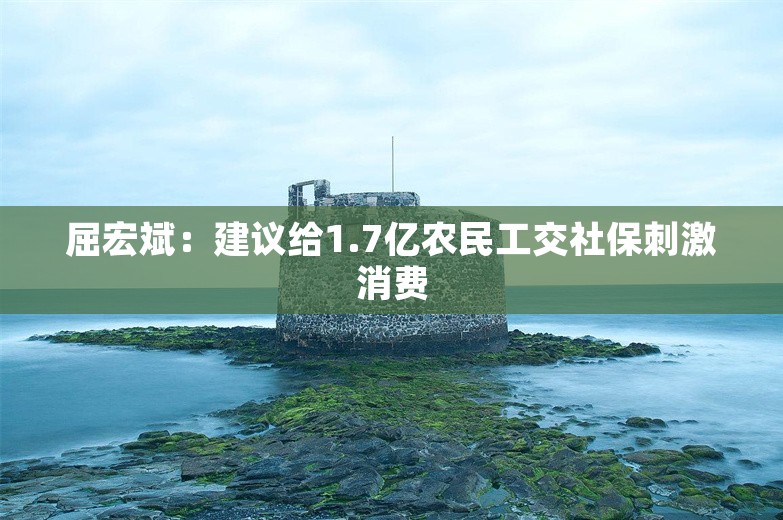 屈宏斌：建议给1.7亿农民工交社保刺激消费