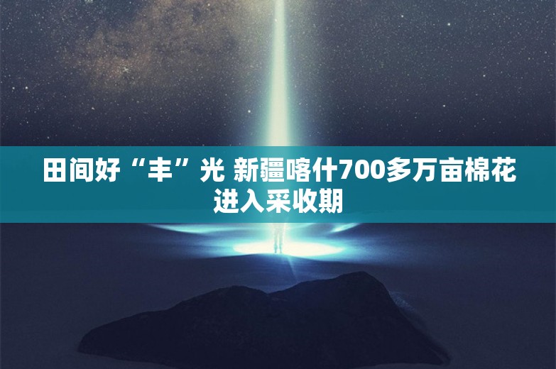 田间好“丰”光 新疆喀什700多万亩棉花进入采收期