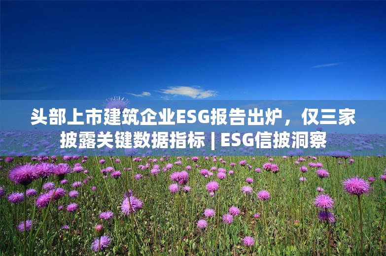 头部上市建筑企业ESG报告出炉，仅三家披露关键数据指标 | ESG信披洞察