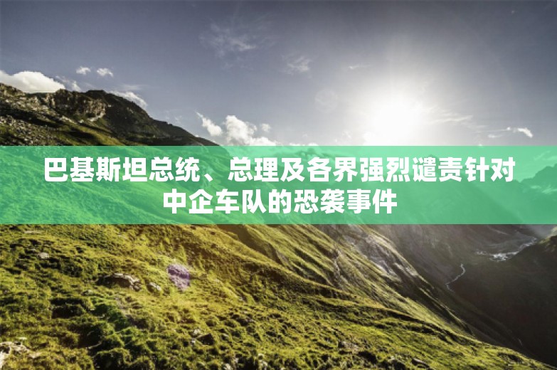 巴基斯坦总统、总理及各界强烈谴责针对中企车队的恐袭事件