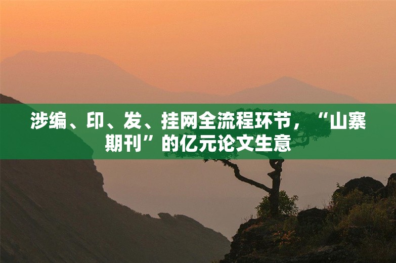 涉编、印、发、挂网全流程环节，“山寨期刊”的亿元论文生意