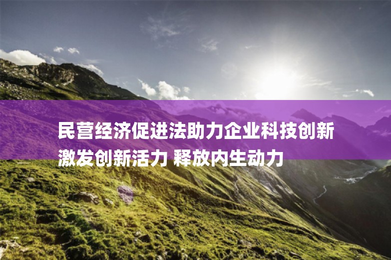 民营经济促进法助力企业科技创新
激发创新活力 释放内生动力