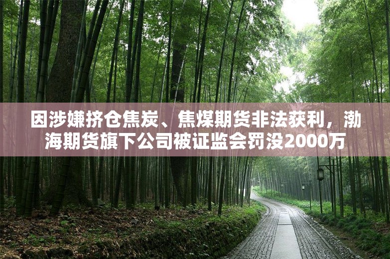 因涉嫌挤仓焦炭、焦煤期货非法获利，渤海期货旗下公司被证监会罚没2000万